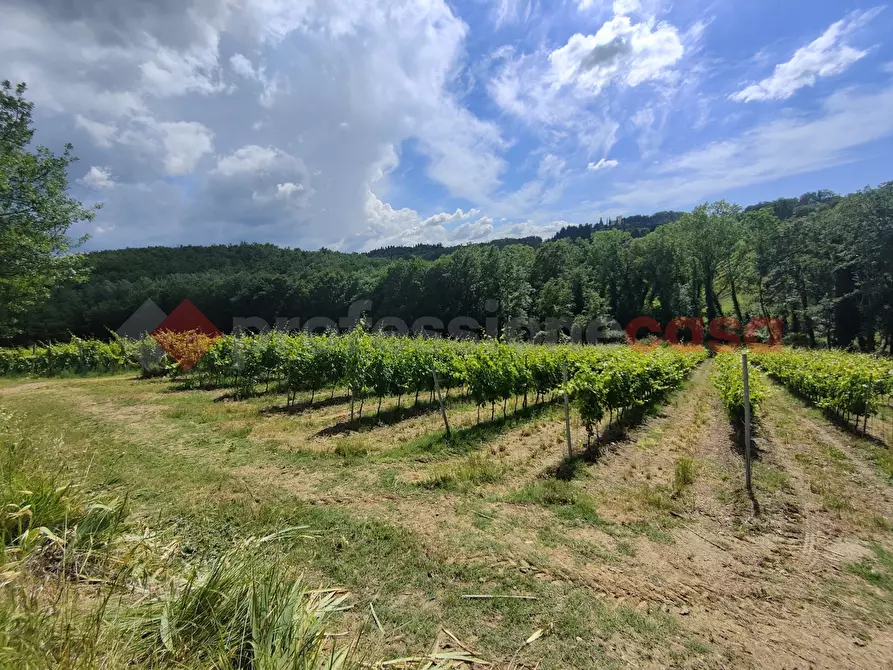 Immagine 42 di Terreno agricolo in vendita  in Via di castagneto a Empoli