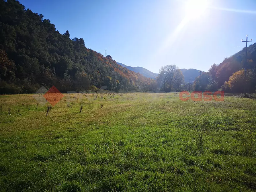 Immagine 2 di Terreno agricolo in vendita  in LocalitÃ  Napoletto a Spoleto