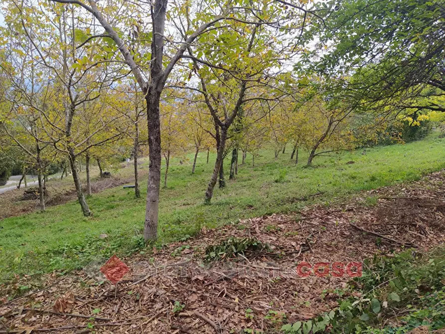 Immagine 3 di Terreno agricolo in vendita  in Via Monteluce Via Monterone a Perugia