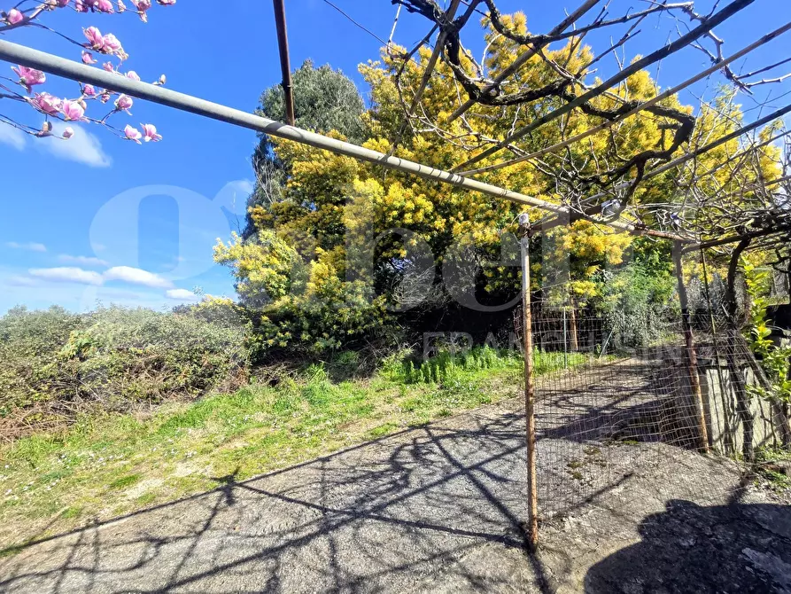 Immagine 19 di Rustico / casale in vendita  in Via Fonte del Colle, snc a Artena
