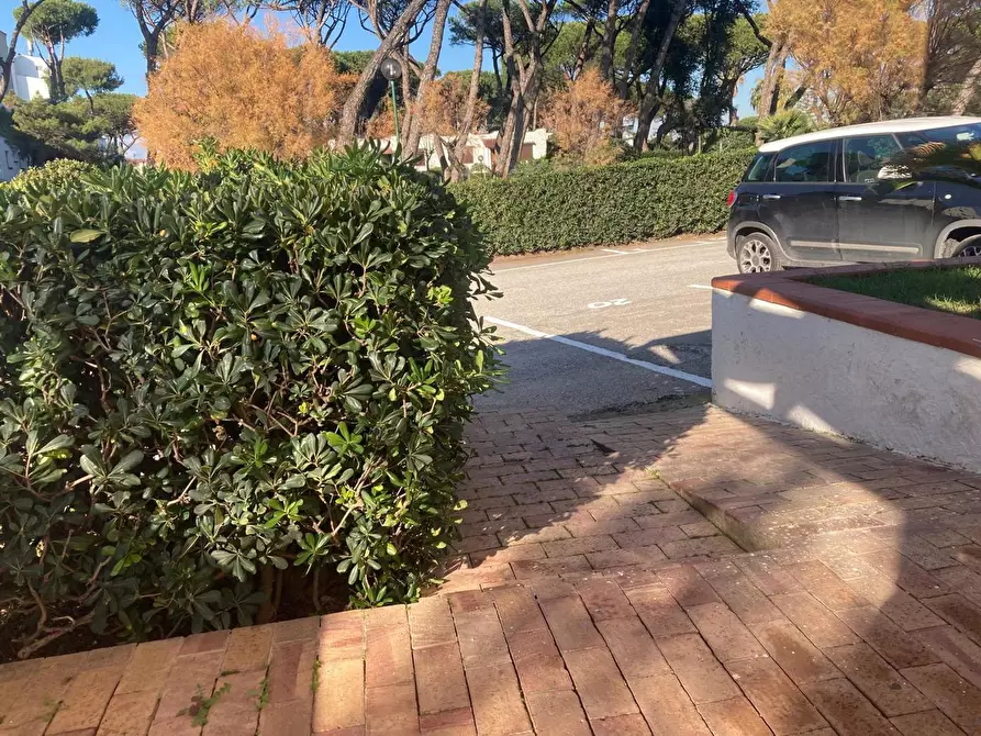 Immagine 49 di Bar / Ristorante in vendita  in Viale dellâerica a Cellole