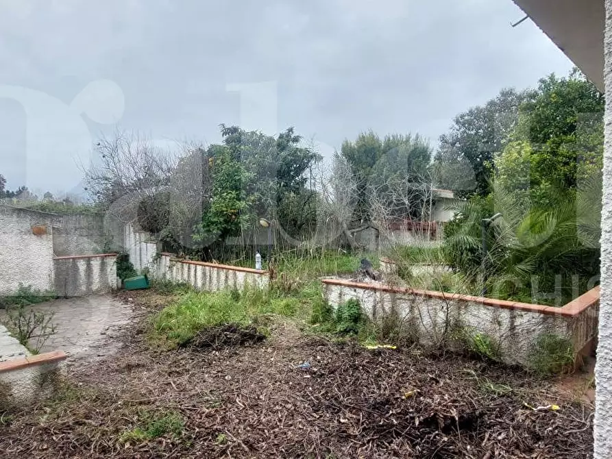 Immagine 28 di Villetta a schiera in vendita  in Via DELLE MIMOSE, 32 a Sellia Marina