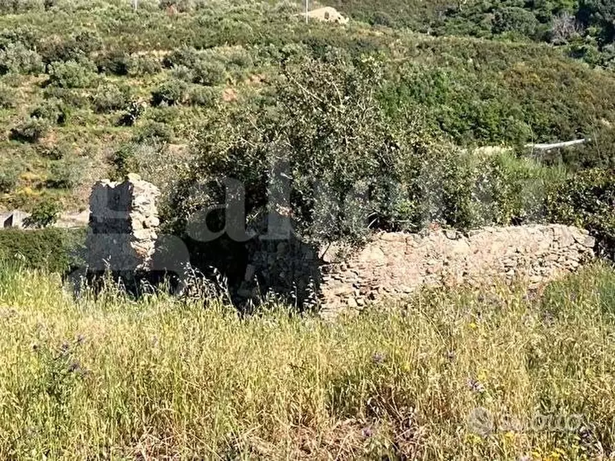 Immagine 2 di Terreno agricolo in vendita  in Contrada Calamona, snc a Messina