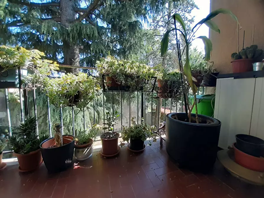 Immagine 16 di Appartamento in vendita  in Via xxix maggio, 141 a Legnano