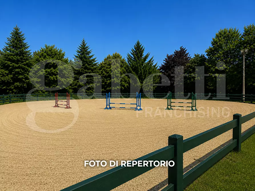 Immagine 9 di Rustico / casale in vendita  in Via settevene primo tronco da trevignano a Bracciano