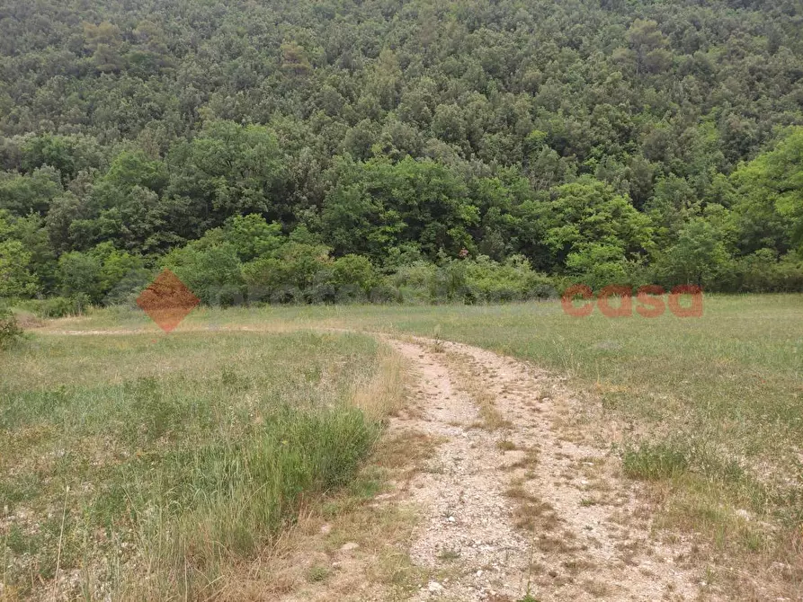 Immagine 9 di Terreno agricolo in vendita  in LocalitÃ  Napoletto a Spoleto