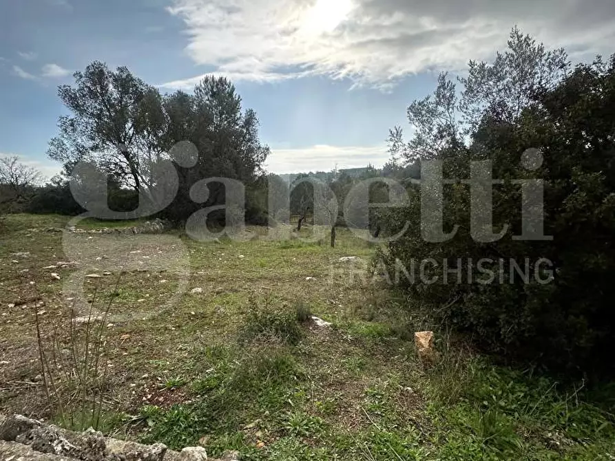 Immagine 34 di Villa in vendita  in Contrada Padolecchia, sn a Ostuni