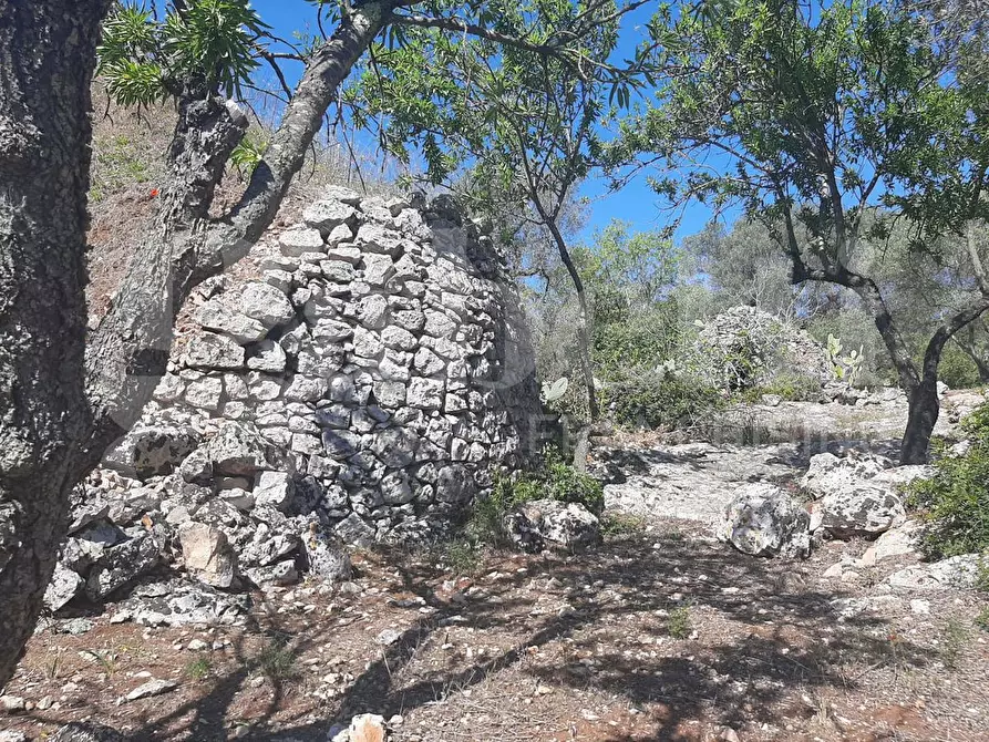 Immagine 9 di Terreno agricolo in vendita  in Contrada la chiusa, sn a Ostuni