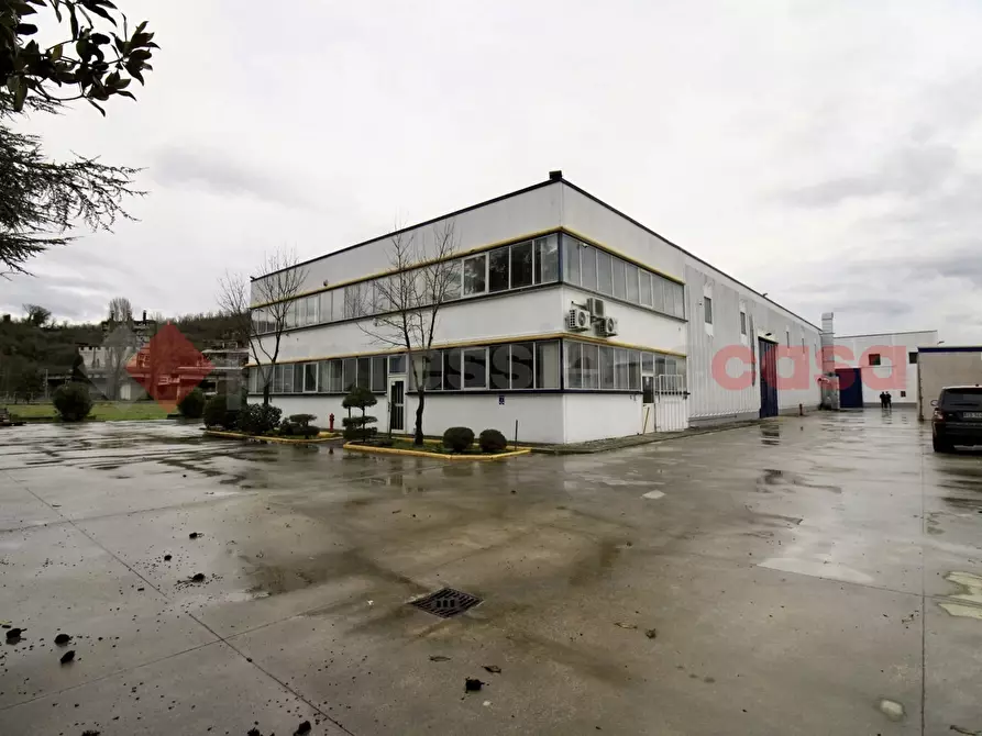 Immagine 3 di Capannone industriale in vendita  in LocalitÃ  Paduni, Osteria della Fontana, snc a Anagni