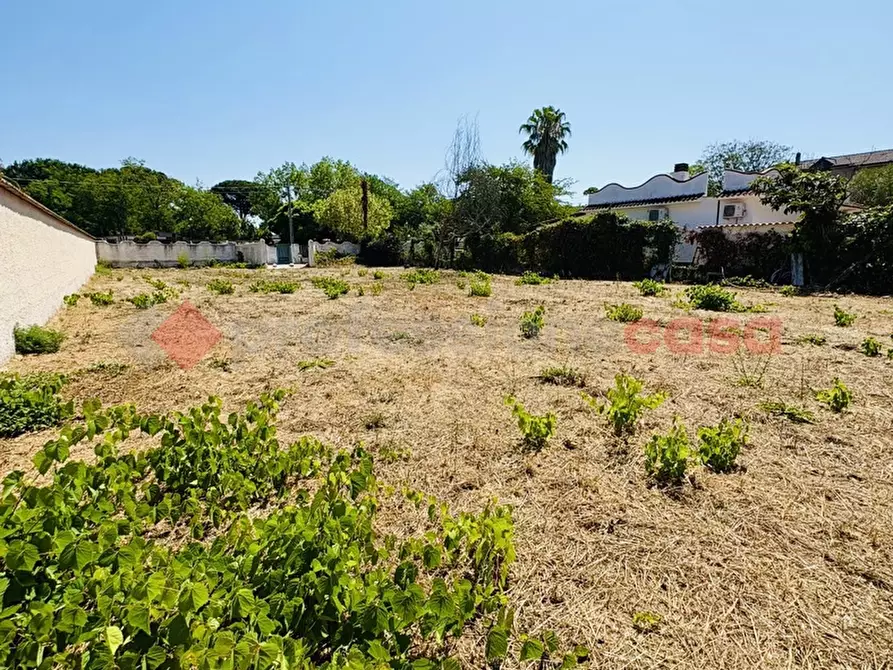 Immagine 35 di Terreno agricolo in vendita  in Via OASI DEL SISTO, 31 a Terracina