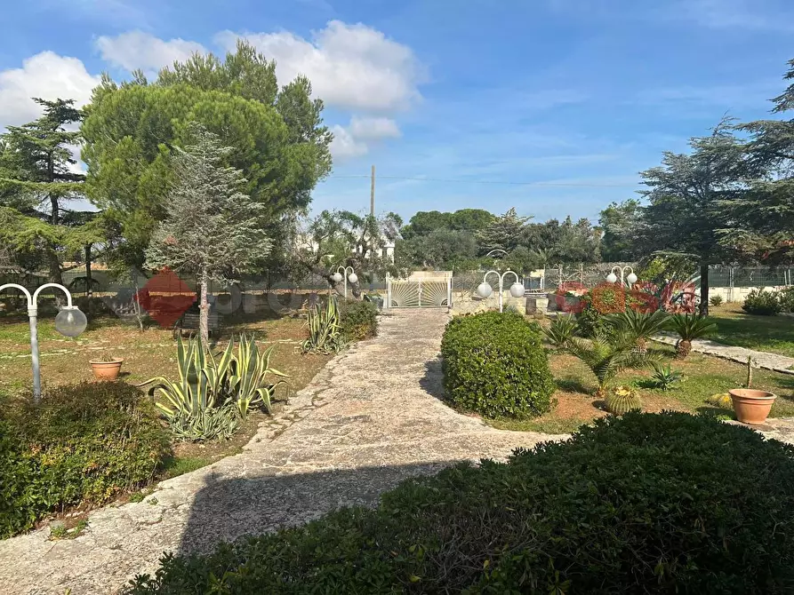 Immagine 5 di Casa indipendente in vendita  in Via CAPITOLO a Monopoli