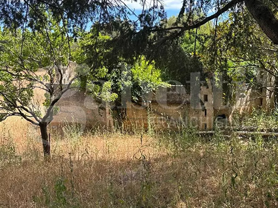 Immagine 39 di Villa in vendita  in Contrada San Benedetto, sn a Ostuni