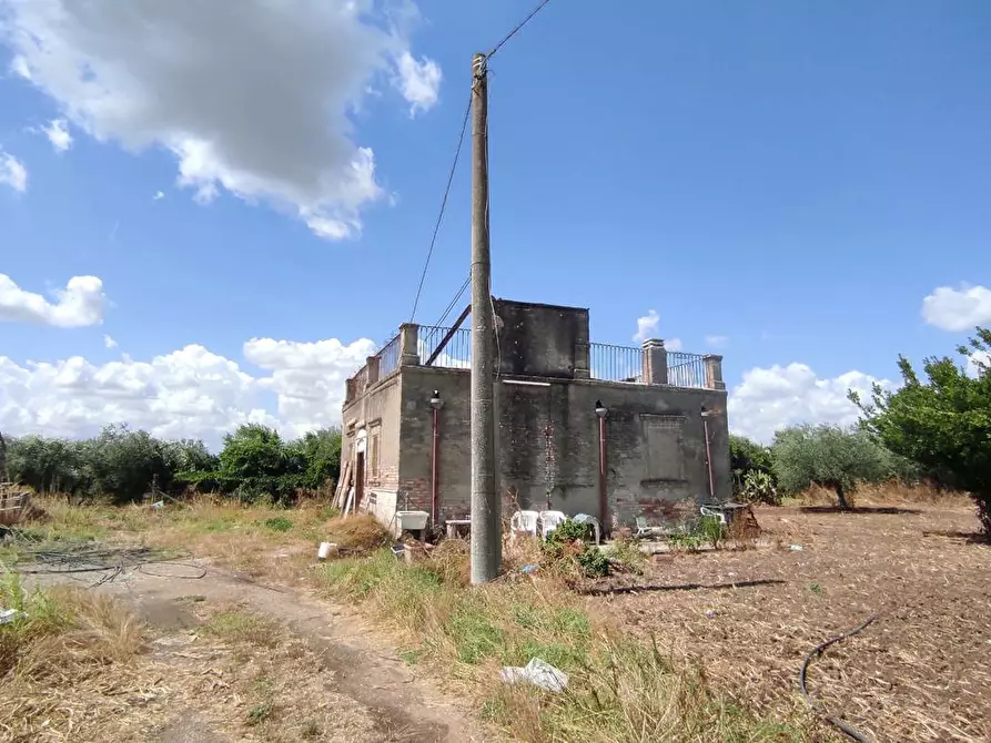 Immagine 17 di Terreno agricolo in vendita  in Via SAN ROCCO, SNC a San Severo