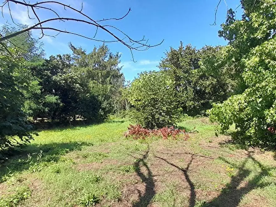 Immagine 7 di Villa in vendita  in Via CANALE, 86 a Manziana