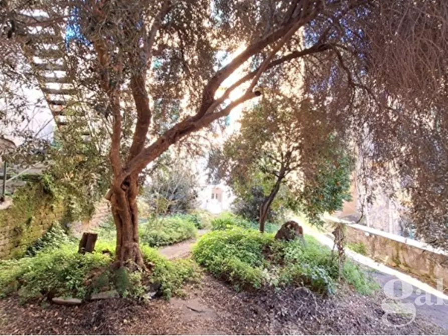 Immagine 25 di Palazzo in vendita  in Via Salita del Petraio a Napoli