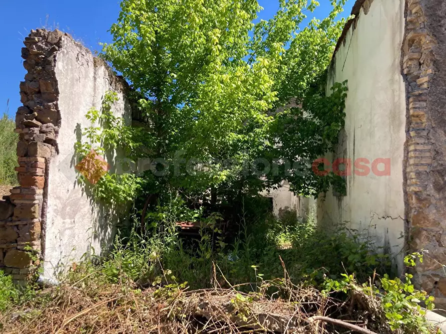 Immagine 16 di Rustico / casale in vendita  in Vicolo papa leone, snc a Roma