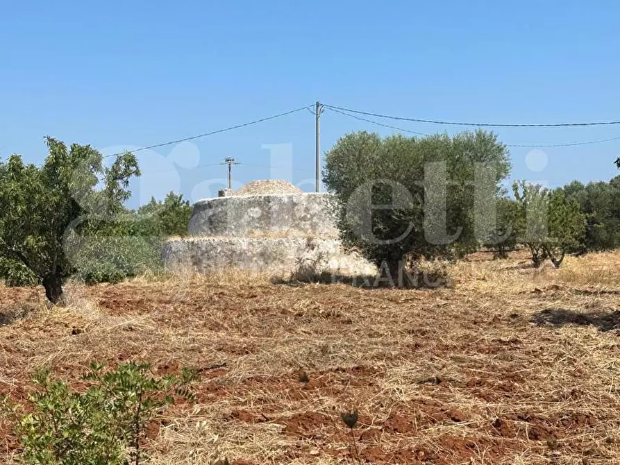 Immagine 3 di Rustico / casale in vendita  in Contrada Tamburroni, sn a Ostuni