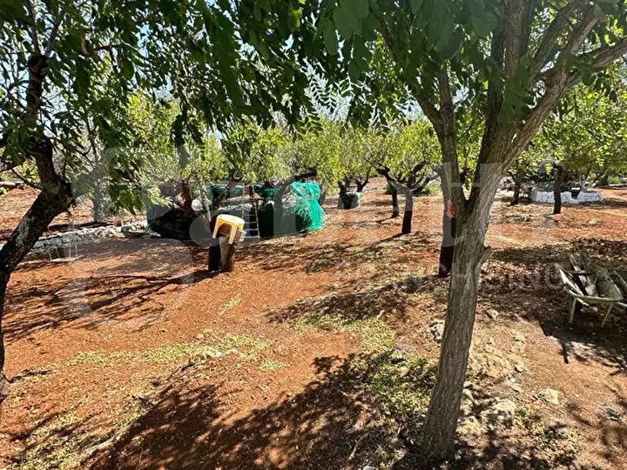 Immagine 30 di Villa in vendita  in Contrada VATO APERTO, sn a Ostuni