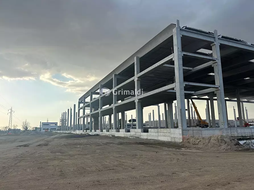 Immagine 5 di Ufficio in affitto  in Via Trevio Quaranta, 5 a Marcianise