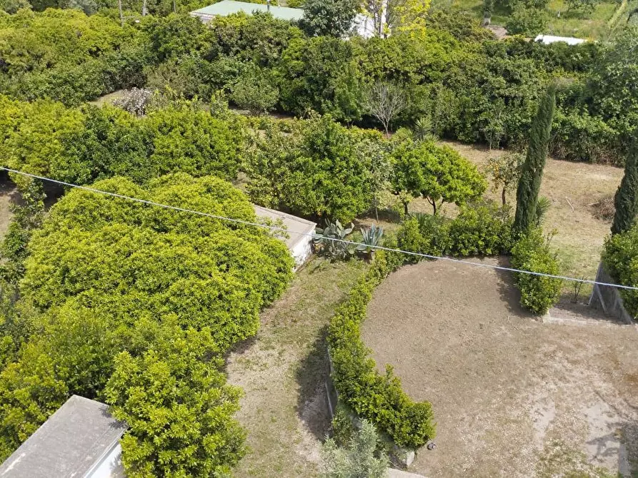 Immagine 14 di Villa in vendita  in Via caranfe a Monte Di Procida