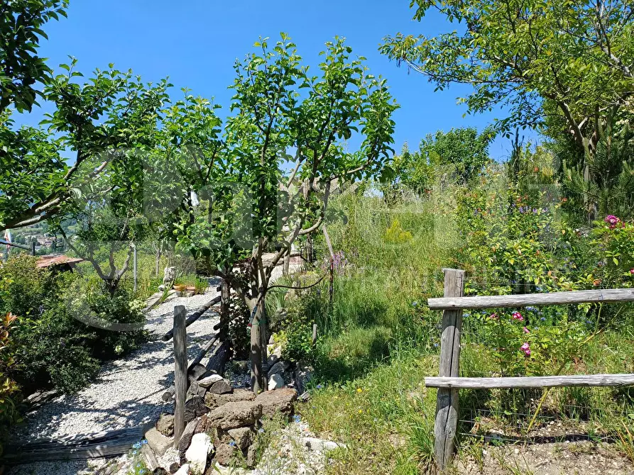 Immagine 39 di Villa in vendita  in Via SAN MARIA DEL MONTE, snc a Borbona