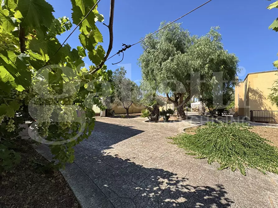 Immagine 8 di Villa in vendita  in Via San Gregorio Armeno, 42 a Nardo'