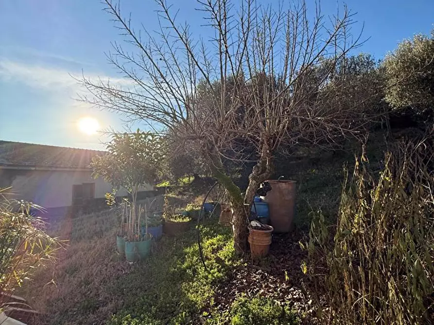 Immagine 24 di Casa indipendente in vendita  in Via prati gallinari, 7 a Anagni