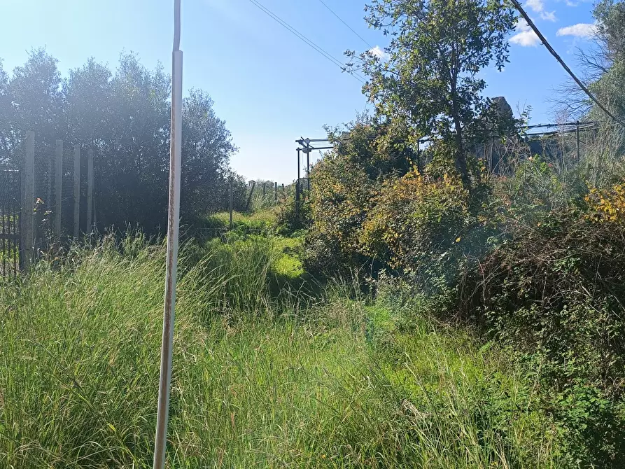 Immagine 4 di Terreno agricolo in vendita  in Via Giampilieri Superiore, contrada santa Lucia, Snc a Messina