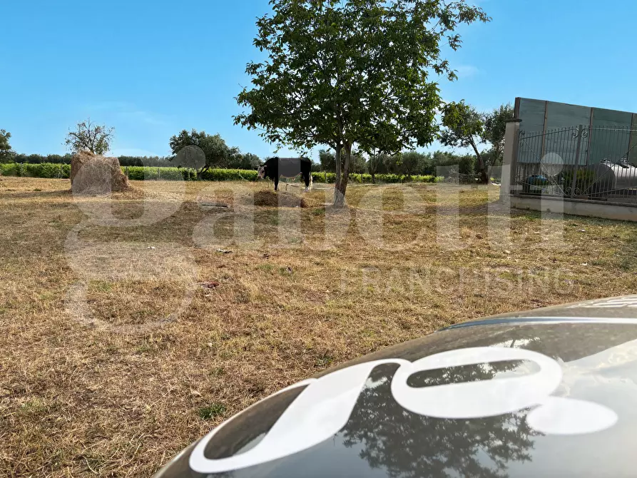 Immagine 17 di Azienda agricola in vendita  in LocalitÃ  Monticello a Pastorano