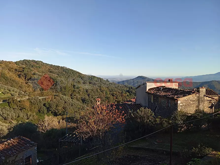 Immagine 42 di Terratetto in vendita  in Via Primo Lucchesi, 10 a Camaiore