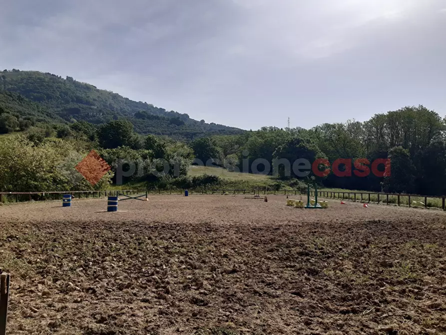 Immagine 7 di Villa in vendita  in Via villa del vescovo, 41 a Uzzano