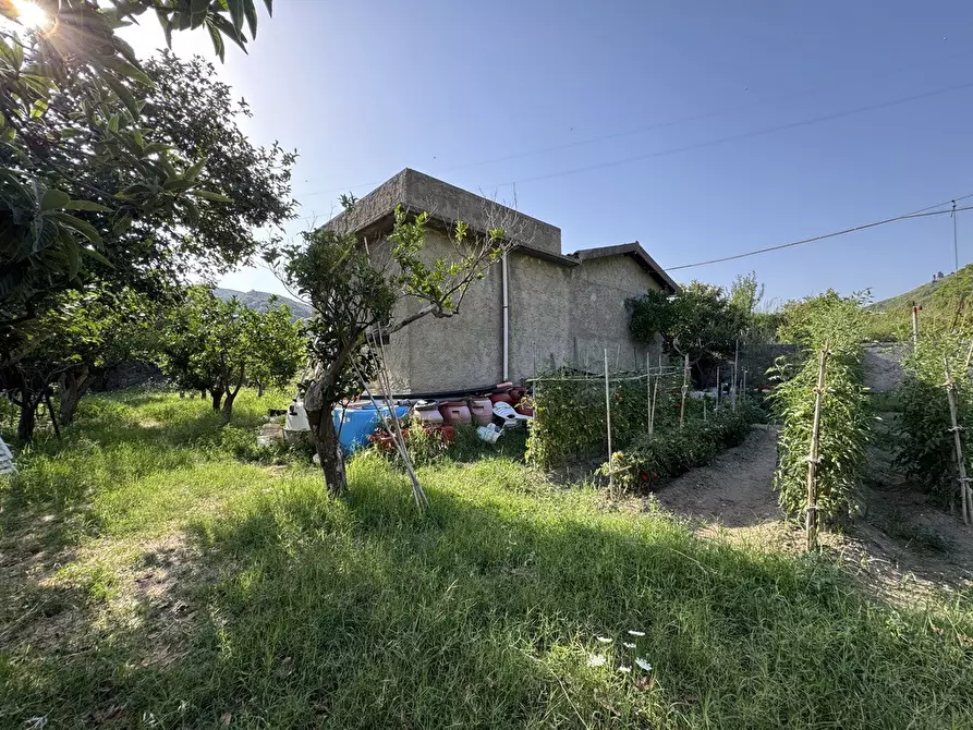 Immagine 12 di Terreno agricolo in vendita  in Strada comunale, snc a Rometta