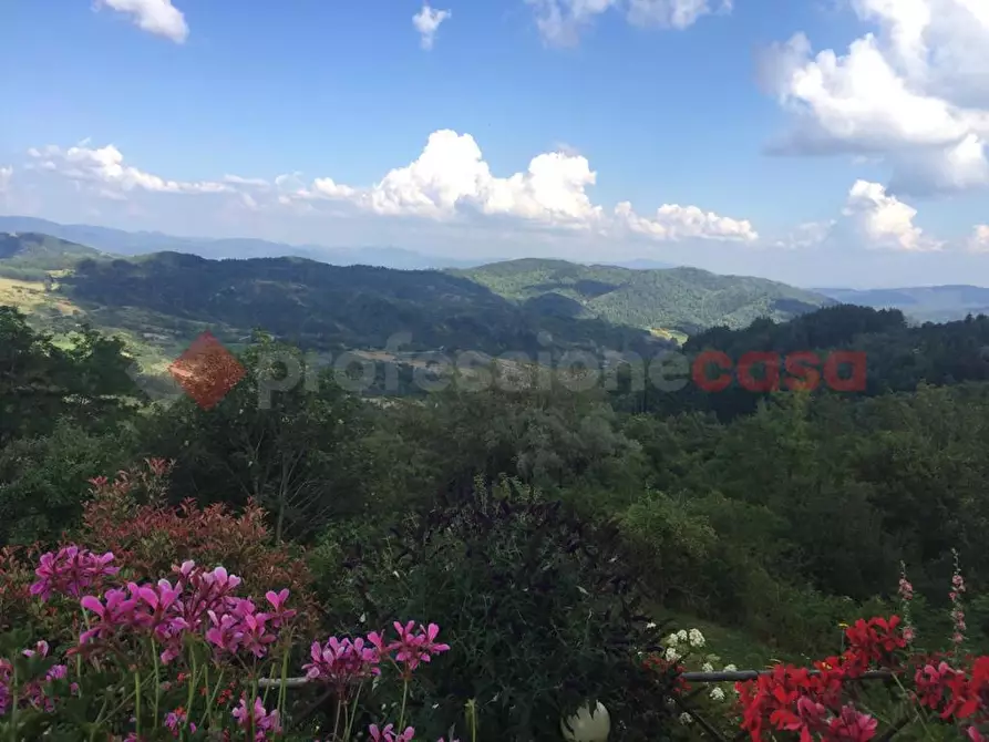 Immagine 4 di Villa in vendita  in Via POGGIO TESORO a Pelago