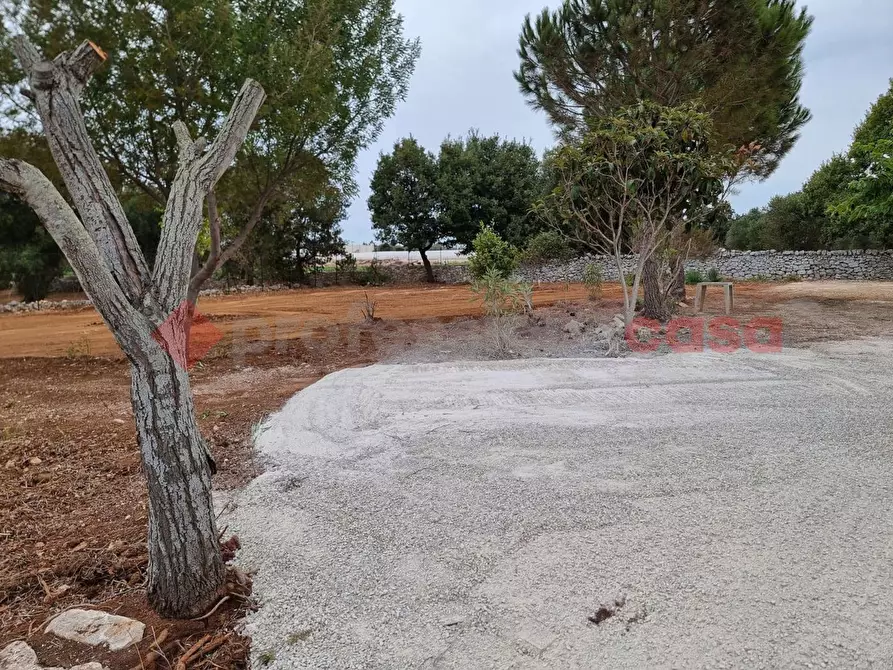 Immagine 20 di Baita in vendita  in Contrada Santo Scalone, snc a Ostuni