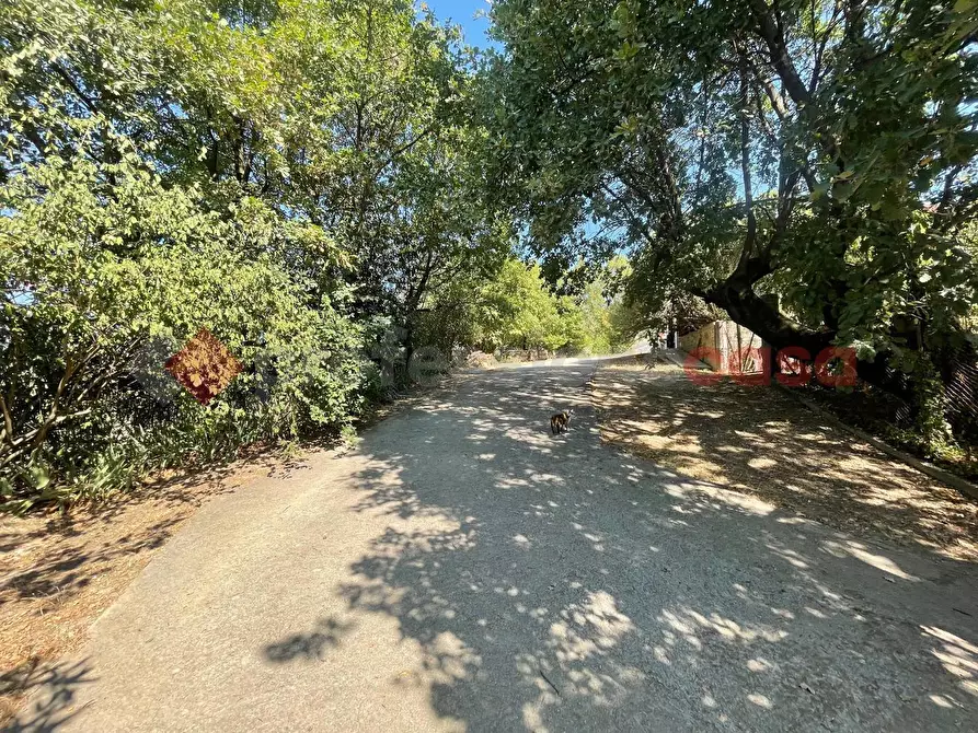 Immagine 39 di Casa indipendente in vendita  in Via tofe pistone, snc a Anagni