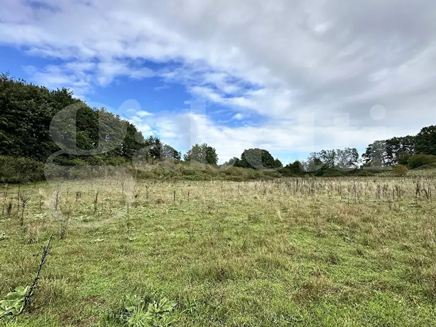 Immagine 4 di Terreno agricolo in vendita  in Via BRACCIANESE, SNC a Oriolo Romano