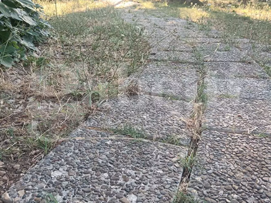 Immagine 14 di Terreno residenziale in vendita  in Via ROSSINI, SNC a Crispiano