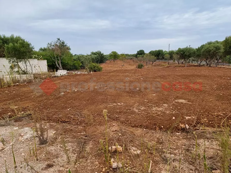 Immagine 16 di Baita in vendita  in Contrada Santo Scalone, snc a Ostuni