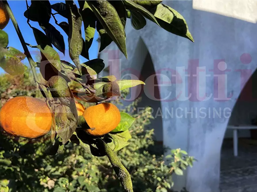 Immagine 24 di Villa in vendita  in Piazza Maria SS. del Rosario, 3/B a Guagnano