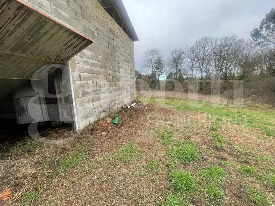 Immagine 4 di Villa in vendita  in Strada DELLA CASTELLINA, 00 a Oriolo Romano