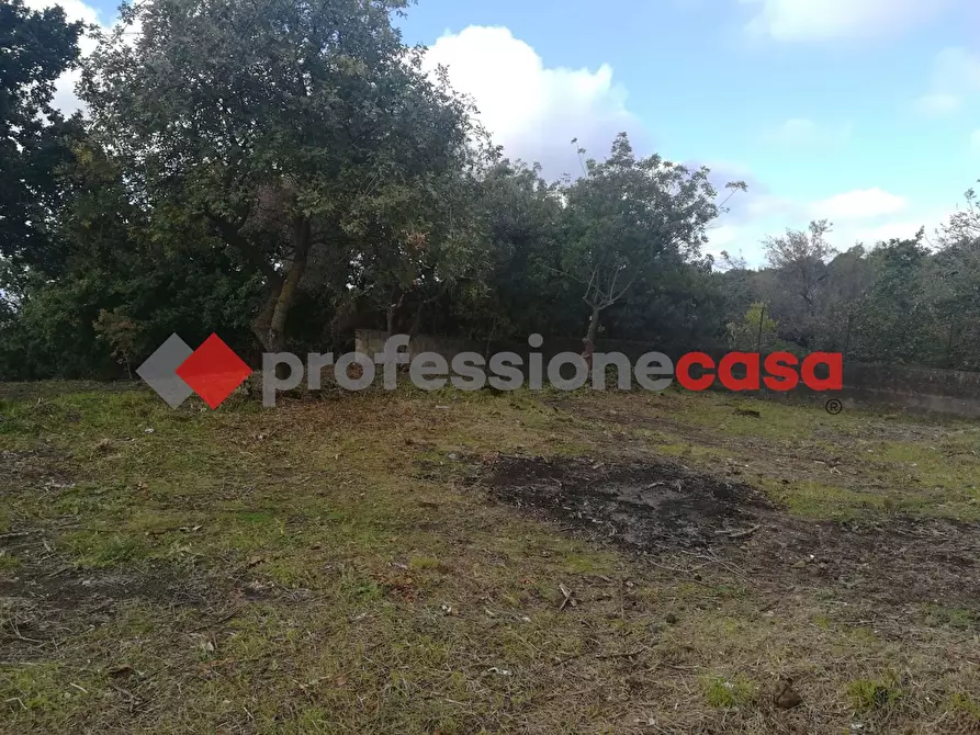 Immagine 4 di Terreno agricolo in vendita  in Contrada Scorsone, SNC a Belpasso