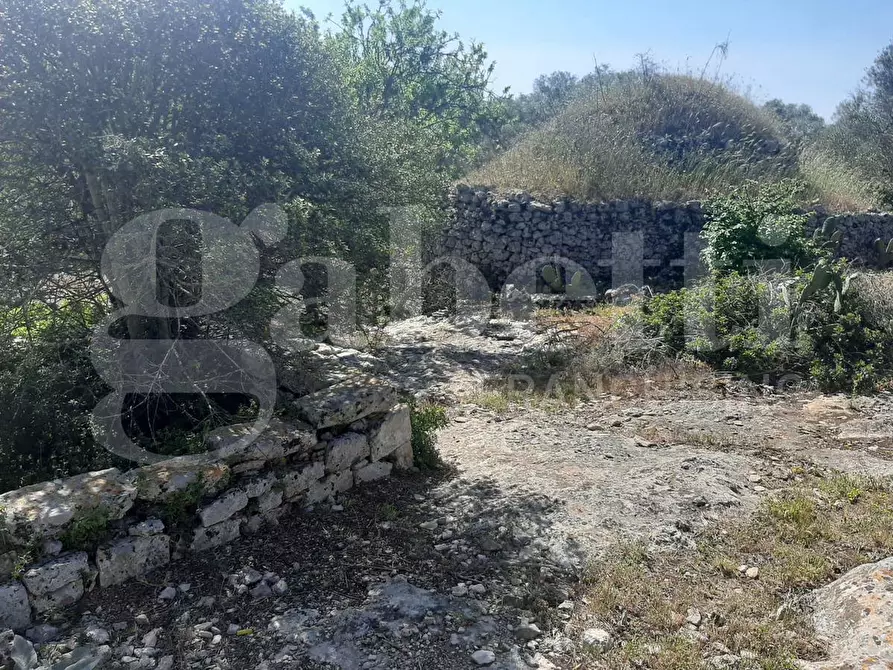 Immagine 3 di Terreno agricolo in vendita  in Contrada la chiusa, sn a Ostuni