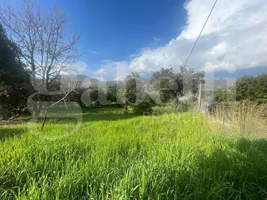 Immagine 11 di Terreno agricolo in vendita  in LocalitÃ  Monte a Mare, s.n.c a Gaeta