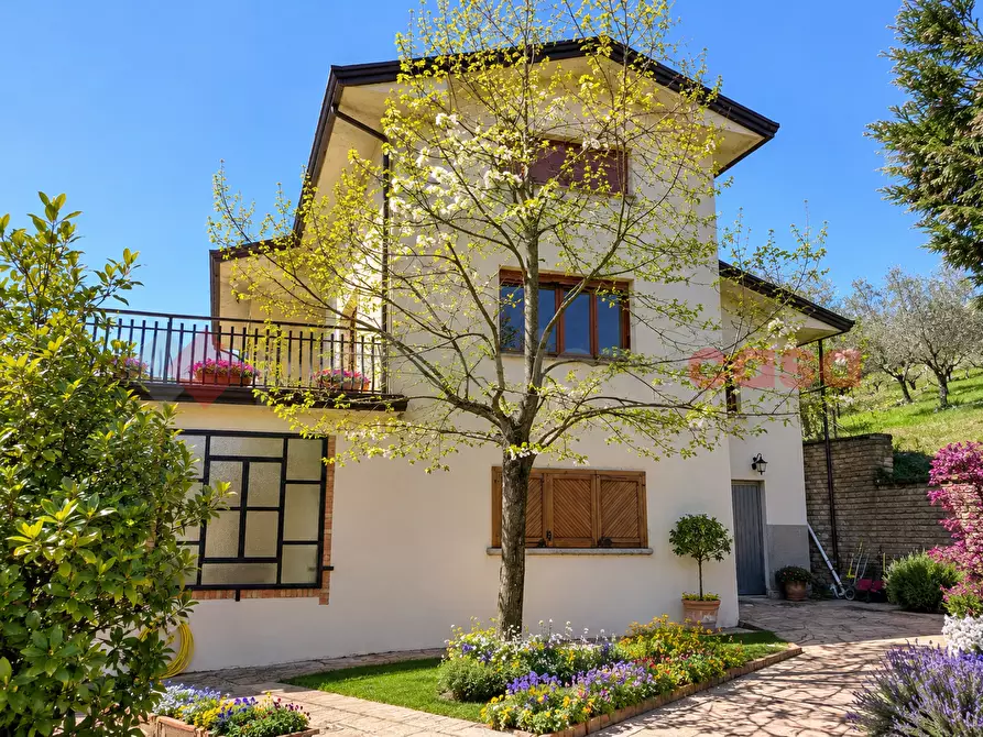 Immagine 41 di Villa in vendita  in Strada Regionale 155, 37 a Alatri