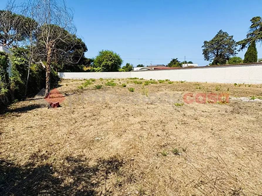 Immagine 26 di Terreno agricolo in vendita  in Via OASI DEL SISTO, 31 a Terracina