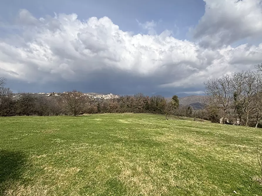 Immagine 9 di Terreno residenziale in vendita  in Via collittimi, snc a Trivigliano