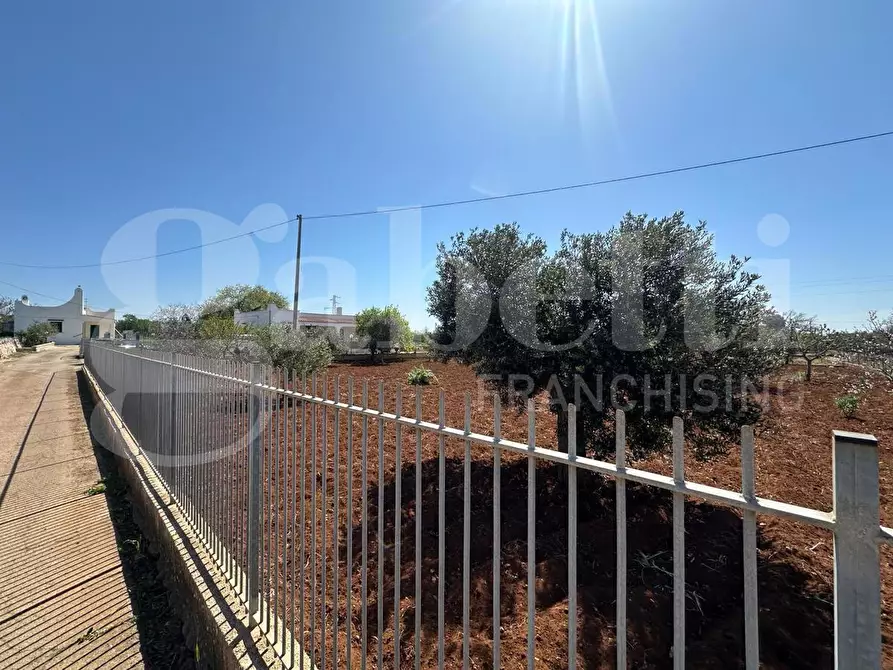 Immagine 18 di Villa in vendita  in Contrada Molillo, sn a Ostuni