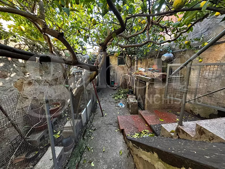 Immagine 4 di Casa indipendente in vendita  in Via Guido Rossa, 10 a Villamassargia