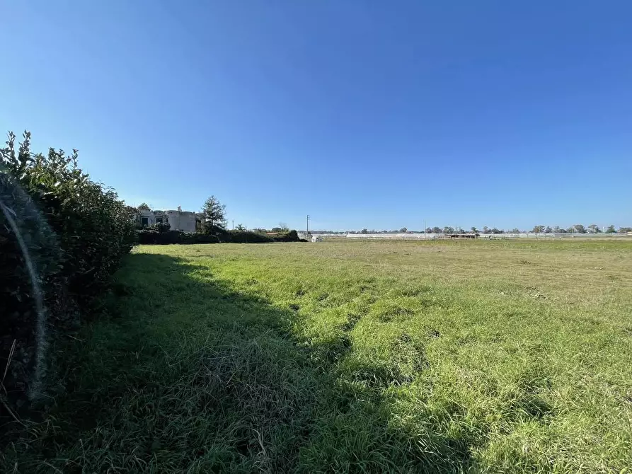 Immagine 7 di Terreno agricolo in vendita  in Via SAN FELICE CIRCEO, 1 a Terracina