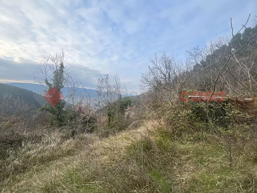 Immagine 12 di Terreno agricolo in vendita  in LocalitÃ  Rubbiano a Spoleto